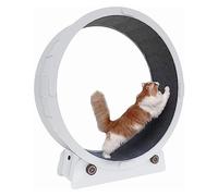 Tapis de Course pour Chat Tapis de Course pour Chat Blanc/Exercice de Roue pour Chat sans Espace avec Dispositif de Verrouillage de sécurité