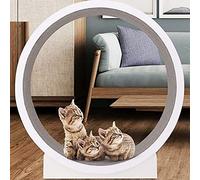 Tapis de Course pour Chats, Roue d'exercice for Chat, Grande Roue d'intérieur
