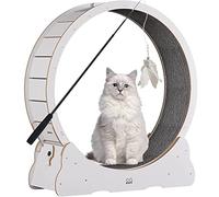 Tapis de Course pour Chats, Roue d'exercice silencieuse for Chats d'intérieur(White,XL)
