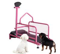 Tapis de Course pour Chien Jusqu’à 10 kg, 200W, Vitesse réglable 0,8-6 km/h, écran LCD, minuterie 1-99 Min,Tapis amortissant à 4 Couches,équipement d’Exercice intérieur pour Animaux-Rose