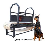 Tapis de course pour chien pour entraînement d'endurance et de fitness, utilisation intérieure et extérieure avec capacité de charge de 50 kg