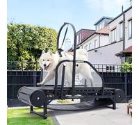 Tapis de course pour chien Rampe réglable pour intérieur jusqu'à 136 kg avec podomètre pour l'exercice et la perte de poids