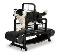 Tapis de Course pour Chiens Autopropulsé, Slatmill Manuel pour Chiens Moyens et Grands, Frein Manuel, Capacité 200 kg, Courroie Silencieuse 170×50 cm pour Exercices Intérieurs par Tous Les Temps