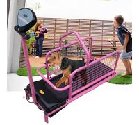 Tapis de Course pour Chiens de Petite et Moyenne Taille, Tapis de Course pour Chiens, Machine de Course pour Animaux de Compagnie avec écran LCD, 176 LB, équipement de Dressage pour Animaux