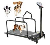 Tapis de course pour petits chiens de moins de 50 cm de long, tapis de course d'intérieur avec écran d'affichage, piste de 80 cm