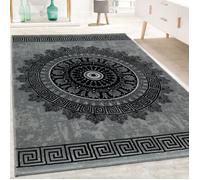 Tapis De Créateur Salon Motif Mandala Poils Ras Style Baroque Gris Noir [80x150 cm]