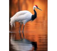 Tapis De Crochet À Point Noué Animal Gruekit De Broderie À Nouer Soi-Même Fait À La Main，Kits De Tapisserie Diy Pour Coussins Adultes，Grand Tapis À Crochet De Loquet，Motif Pré-Imprimé， 31x63in