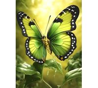Tapis De Crochet À Point Noué Animal Papillon Vertkit De Broderie À Nouer Soi-Même Fait À La Main，Kits De Tapisserie Diy Pour Coussins Adultes，Grand Tapis À Crochet De Loquet，Motif Pré- 31x45in