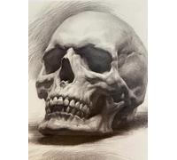 Tapis De Crochet À Point Noué Crâne Noir Et Blanckit De Broderie À Nouer Soi-Même Fait À La Main，Kits De Tapisserie Diy Pour Coussins Adultes，Grand Tapis À Crochet De Loquet，Motif Pré-I 31x63in