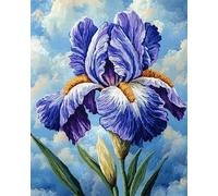 Tapis De Crochet À Point Noué Iris Fantastiquekit De Broderie À Nouer Soi-Même Fait À La Main，Kits De Tapisserie Diy Pour Coussins Adultes，Grand Tapis À Crochet De Loquet，Motif Pré-Impr 31x45in