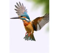 Tapis De Crochet À Point Noué Oiseau Animalkit De Broderie À Nouer Soi-Même Fait À La Main，Kits De Tapisserie Diy Pour Coussins Adultes，Grand Tapis À Crochet De Loquet，Motif Pré-Imprimé 31x63in