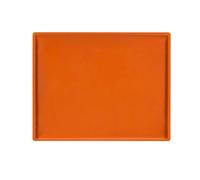 Tapis de cuisson en silicone antiadhésif multifonctionnel, pâtisserie Swiss Roll Liner, tampon de cuisson résistant à la chaleur pour la cuisson de cuisine