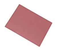 Tapis de cuisson en silicone et fibre de verre, résistant aux hautes températures, anti-adhésif, pour le camping, la cuisson en plein air