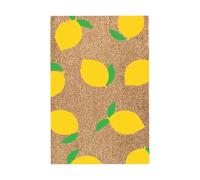 Tapis de d'extérieur, Tapis d'été imprimé Vase extérieur, paillasson décoratif Hello Summer 40,6 x 61 cm, paillasson saisonnier antidérapant avec Envers en Caoutchouc pour intérieur