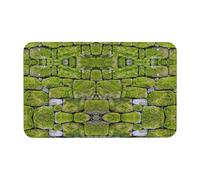 Tapis de diatomée pour pavé en mousse, 50 x 80 cm, tapis de diatomées doux, idéal pour salle de bain, cuisine, douche, automne