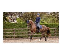 Tapis de dressage pour cheval anti dérapant LeMieux Soft Shell Bleu TU