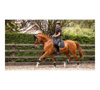 Tapis de dressage pour cheval anti dérapant LeMieux Soft Shell Noir TU