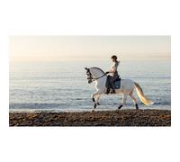 LeMieux Earth Dressage Tapis de selle de dressage Bleu océan