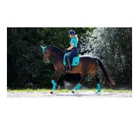 Tapis de dressage pour cheval LeMieux Loire Memory Bleu L