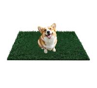 Tapis de gazon artificiel - Gazon synthétique avec dos à drainage rapide | | Tapis d'herbe d'apprentissage de la propreté pour la maison, l'appartement, le salon, le balcon, le jardin, le porche
