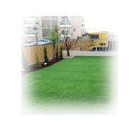 Tapis de Gazon Artificiel Multi-Usage avec Trous de Drainage,pour Patio, Jardin, Balcon, Aire de Jeux, Apprentissage de la propreté des Animaux de Compagnie,(2x10m/6x33ft)