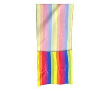 Tapis De Glisse pour,Matelas Léger Imperméable Arc-en- Tapis D'Entraînement Snowboard | pour Luge Dunes Sablonneuses Plage Sol Herbeux Exercice Équilibre Temps en Famille Plein Air