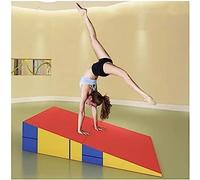 Tapis de gymnastique - Tapis pliable pour entraînement et pratique - Facile à transporter et à ranger - Parfait pour les arts martiaux, la danse et les exercices d'étirement