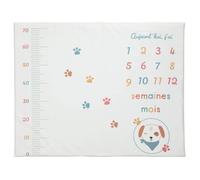 Tapis de jeu en PVC 72x92 cm avec étapes bébé - Toutou