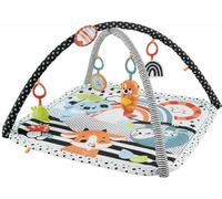 Tapis de jeu Fisher Price HBP41