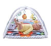 Tapis de Jeu pour bébé, Tapis de Jeu Multifonctionnel pour bébé 0-6 Mois, Arche réglable, développement cognitif, Gymnase pour bébé