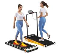 Tapis de Marche Double Face Akluer 520A-B avec Poignée - Moteur Silencieux 2,5 CV - Vitesse Maximale 6,4 km/h - Capacité de 150 kg