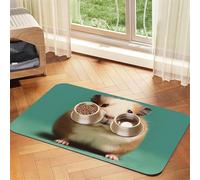 Tapis de nourriture absorbant pour chien et chat - Séchage rapide - Distributeur d'eau pour chien - Tapis antidérapant - Tapis de table mignon et étrange pour hamster et chat - Accessoires pour