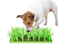 Tapis de nourriture d'herbe pour animaux de compagnie, tapis d'herbe pour chiens, tapis pour renifler les chiens, tapis d'herbe en silicone pour chats, coussin de respiration, antid