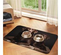 Tapis de nourriture pour chien, labrador retriever, marron, 30,5 x 45,7 cm, antidérapant, super absorbant, passe au lave-vaisselle, pour nourriture et eau, joli tapis d'alimentation en caoutchouc à