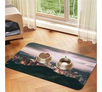 Tapis de nourriture super absorbant pour chien, motif paysage de Taipei, tapis d'alimentation pour gamelles de nourriture et d'eau, tapis de placement antidérapant et imperméable pour les sols, tapis