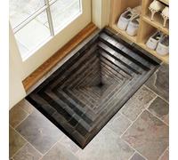 Tapis De Porte 40 x 60 cm, Paillasson Interieur Antidérapant Tunnel Briques Pierres, Paillasson Entrée Absorbe Lavable Inde Ancienne Architecture, Tapis pour L'Intérieur Durable pour Couloir, Noir