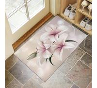 Tapis de Porte, 40 x 60 cm Profil Bas Rêveur Magnifique Paillasson Interieur Entree Lys Élégants Tapis de Sol Antidérapant Lavable Doux et Pratique pour Entrée, Couloir, Cuisine, Abricot Au Lait Léger