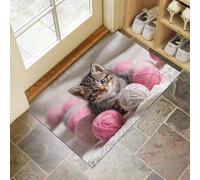 Tapis De Porte 50 X 80 Cm, Chaton Mignonpaillasson Interieur Antidérapant, Paillasson Entrée Lavable, Photographier Les Animaux Tapis D'Entrée Intérieur Absorbant Et Durable, Beige