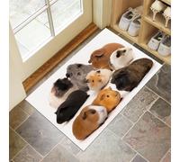 Tapis De Porte 50 X 80 Cm, Cochon d'Inde Mignonpaillasson Interieur Antidérapant, Paillasson Entrée Lavable, Photographier Les Animaux Tapis D'Entrée Intérieur Absorbant Et Durable, Blanc