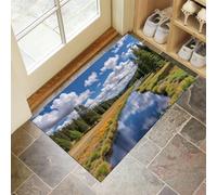 Tapis De Porte 60 X 90 Cm, Vallée Vertepaillasson Interieur Antidérapant, Paillasson Entrée Lavable, Rivière La Jungle Tapis D'Entrée Intérieur Absorbant Et Durable, Couleurs Mélangées
