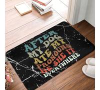 Tapis De Porte Après Que Mon Chien AIT Mangé Mes Pronoms Il Elle Partout Paillasson D'Entrée Doux Tapis De Bain Absorbant Paillasson pour Chambre Cuisine Couloirs 40X60CM