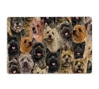 Tapis de porte Cairn Terrier Un bouquet de Cairn Terriers motif chien cadeaux pour amoureux des chiens Tapis antidérapant Tapis de porte amusant Salle de bain Cuisine Tapis d'entrée 40 x 60 cm
