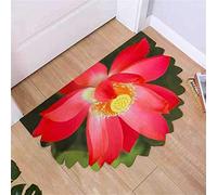 Tapis de Porte d'entrée Extérieur et Intérieur, Paillassons pour entrée Demi Lune Tapis de décoration pour Paillasson, Couloir, Entrée, Cuisine, Chambre - Antidérapant, Imperméable, 58x88cm