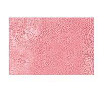 Tapis de porte d'entrée résistant aux taches, absorbant l'eau, facile à nettoyer, résistant, profil bas, pour intérieur et extérieur, gris (rose, taille unique)