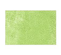 Tapis de porte d'entrée résistant aux taches, absorbant l'eau, facile à nettoyer, résistant, profil bas, pour intérieur et extérieur, gris (vert, taille unique)