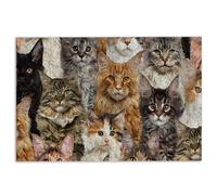 Tapis de porte drôle mignon A Bunch of Maine Coon Chaton Hope You Like Cats Welcome Tapis antidérapant Tapis de salle de bain cuisine entrée entrée 40 x 60 cm