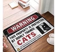 Tapis de porte extérieur en cas de chute Avertissement Cette propriété est protégée par un tapis de chat hautement formé, décoration extérieure amusante, tapis de porte de bienvenue (taille : 40 x 60