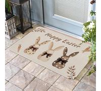 Tapis De Porte Joyeuses Pâques Lapin Carotte Printemps Été Botanique, Lavable Tapi De Sol D'Intérieur Facile À Nettoyer Tapis Entree 40X60Cm pour Chambre Porte D'Entrée Couloir
