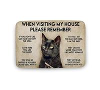 Tapis De Porte Lorsque Vous Visitez Ma Maison, N'Oubliez Pas Les Amoureux des Chats Horizontaux Tapis De Bain Lavable Paillasson D'Entrée Résistant Paillasson pour Intérieur Cuisine 40X60CM