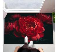 Tapis De Porte Paillasson Affiche Réaliste De Pivoine Rouge 40X60Cm Interieur, Antidérapant Absorbant Facile À Nettoyer, Fleurs Botaniques Rétro, Tapis De Bienvenue Chambre Cuisine Couloir, Noir